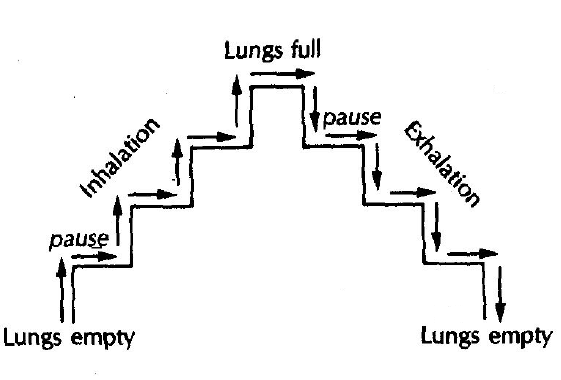 Viloma pranayama technique3