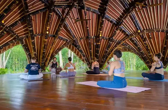 Alchemy Yoga & Meditation Center - Yoga certification Bali
