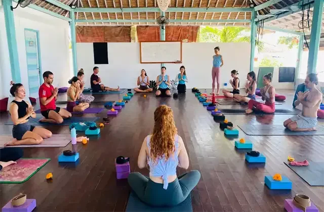 All Yoga Training -best yoga school