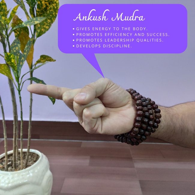 Ankush mudra