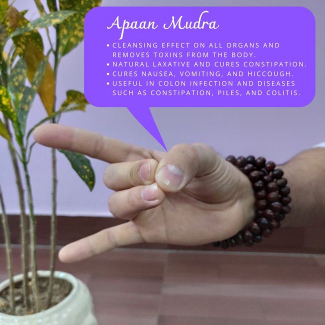 Apaan Mudra