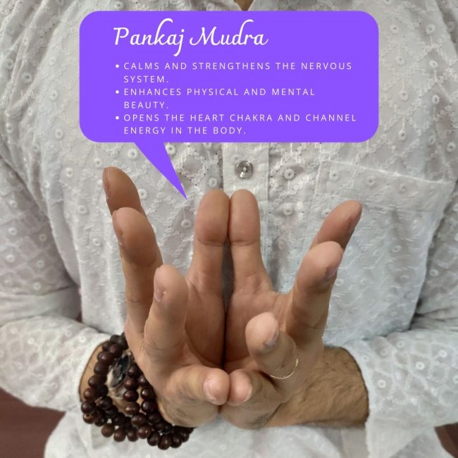 Pankaj MUDRA