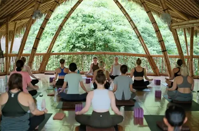 Power of Now Oasis - Yoga Teacher Training in Bali