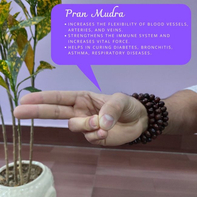 Pran Mudra