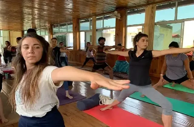 Rishikul Yogshala - yoga school in India