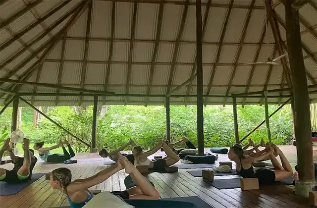 Sacred Paths Yoga - Ayurveda Yoga Teacher Training Online