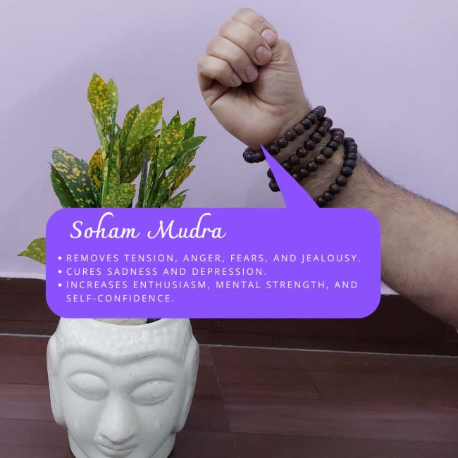 Soham Mudra