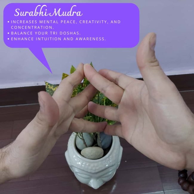 Surbhi Mudra