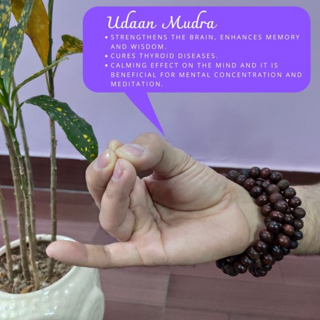 Udaan Mudra