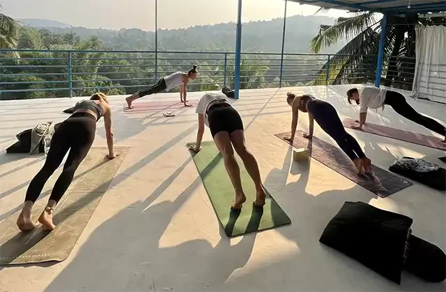 Yoga Instructor Course Goa - Diya Yoga