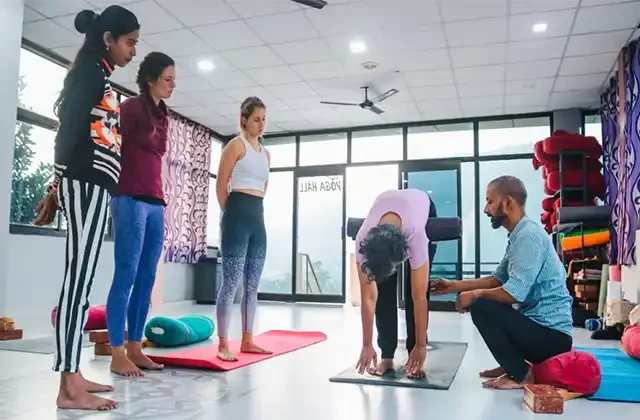 Yoga vidya school - Yoga school in india