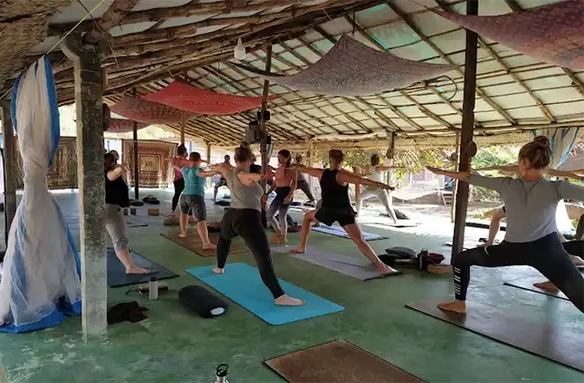 yoga teacher training india goa - Earth Yoga Village